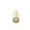 LED Gold Surface Mount Down Light